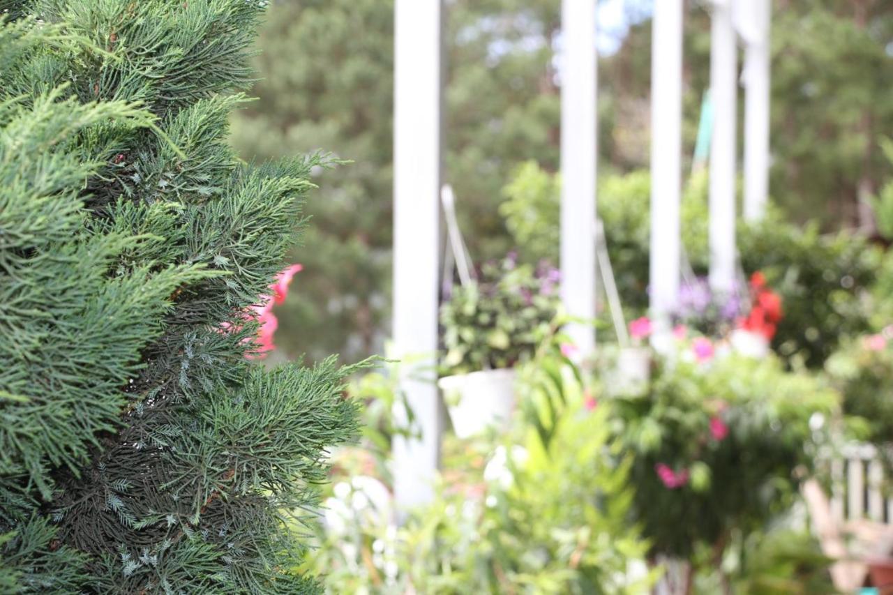 Ngoc Nguyen Homestay Dalat Bagian luar foto